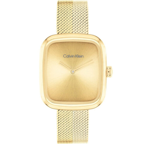 Reloj Calvin Klein 25100099