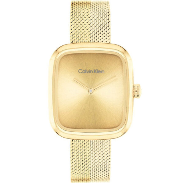 Reloj Calvin Klein 25100099