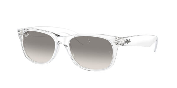 RAY-BAN NEW WAYFARER RB2132 677432
